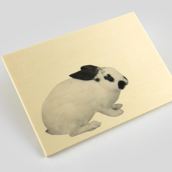 Wood-postcard